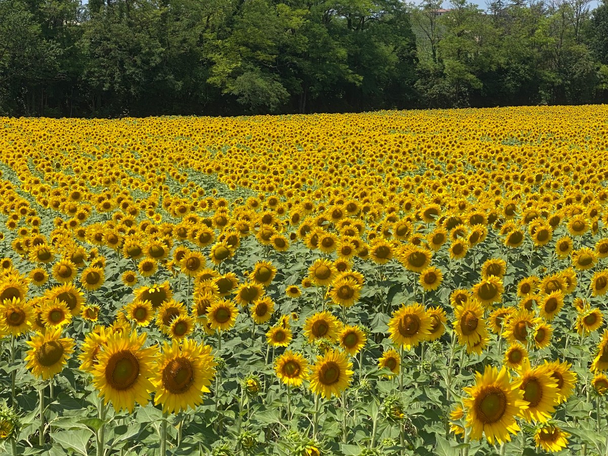 Events & happenings, summer&nbsp;2026