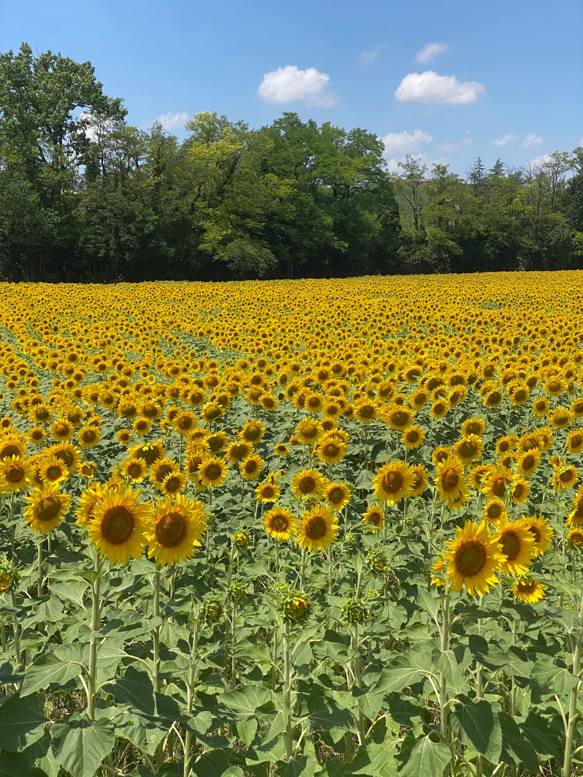 Events & happenings, summer&nbsp;2026